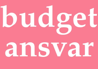 Synonym budgetansvar