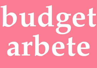 Synonym budgetarbete