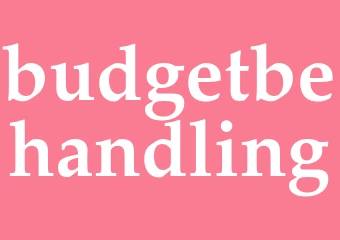 Synonym budgetbehandling
