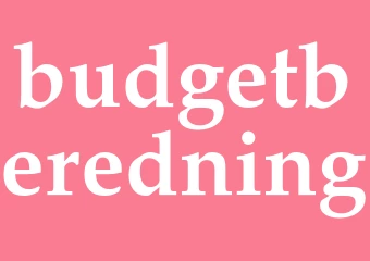 Synonym budgetberedning