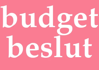 Synonym budgetbeslut