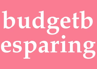 Synonym budgetbesparing