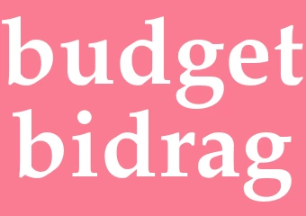 Synonym budgetbidrag