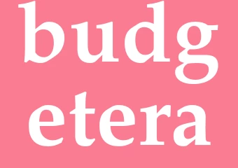 Synonym budgetera