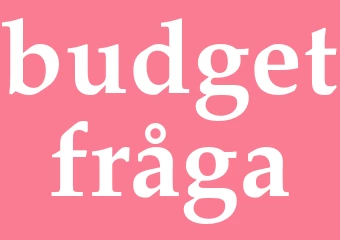 Synonym budgetfråga
