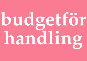 Synonym budgetförhandling