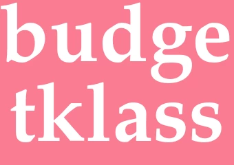 Synonym budgetklass