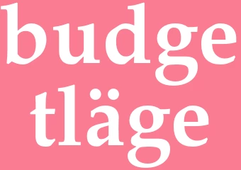 Synonym budgetläge