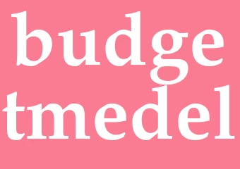 Synonym budgetmedel