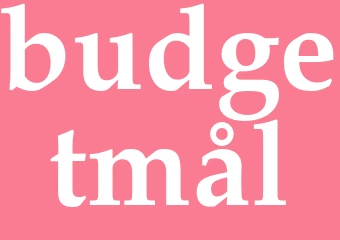 Synonym budgetmål