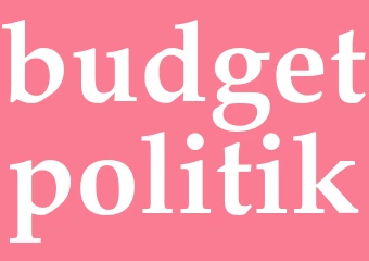 Synonym budgetpolitik