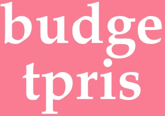 Synonym budgetpris