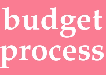 Synonym budgetprocess