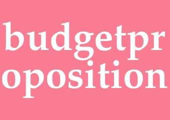 Synonym budgetproposition