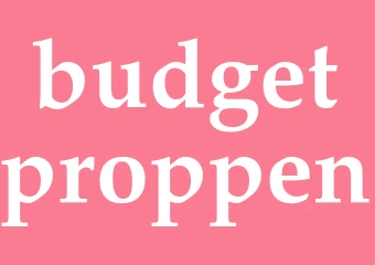 Synonym budgetproppen