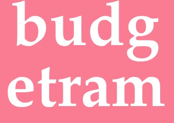 Synonym budgetram
