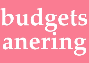 Synonym budgetsanering
