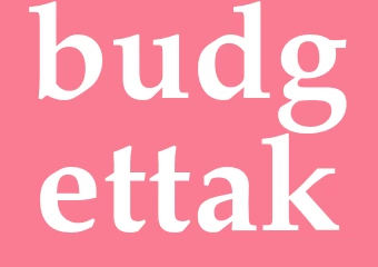 Synonym budgettak