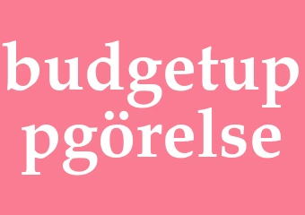 Synonym budgetuppgörelse