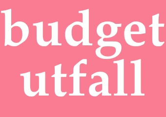 Synonym budgetutfall