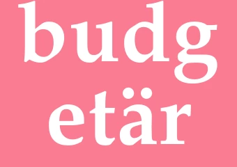 Synonym budgetär