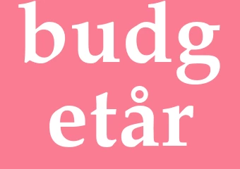 Synonym budgetår