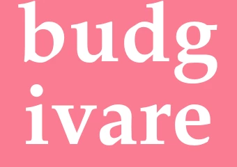 Synonym budgivare