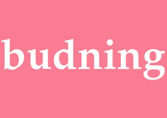 Synonym budning