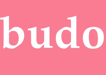 Synonym budo