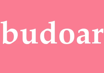 Synonym budoar