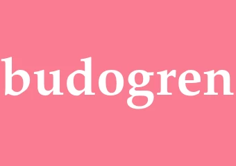 Synonym budogren