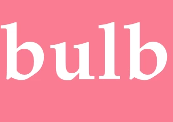 Synonym bulb