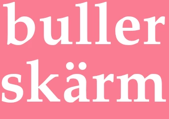 Synonym bullerskärm