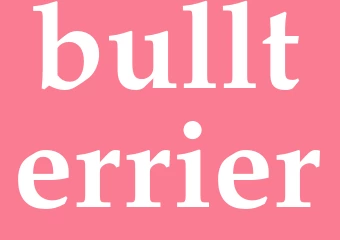 Synonym bullterrier