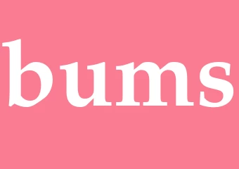 Synonym bums