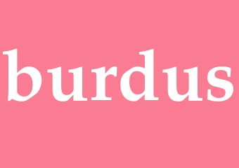 Synonym burdus