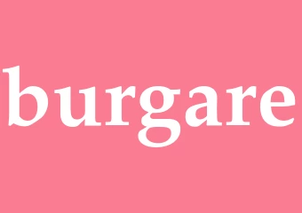 Synonym burgare