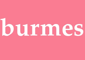 Synonym burmes