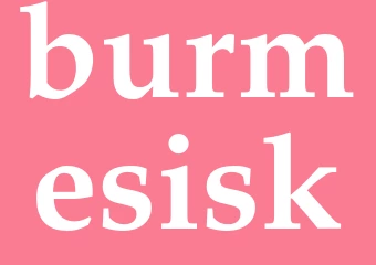 Synonym burmesisk