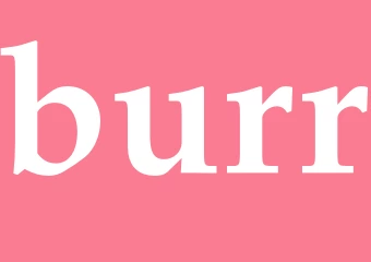 Synonym burr