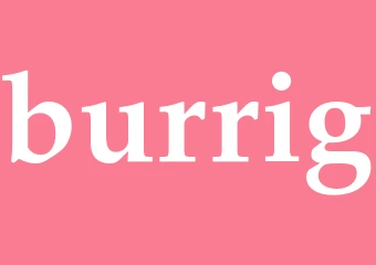 Synonym burrig