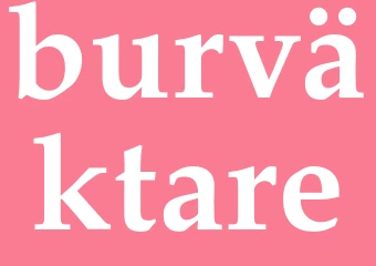 Synonym burväktare