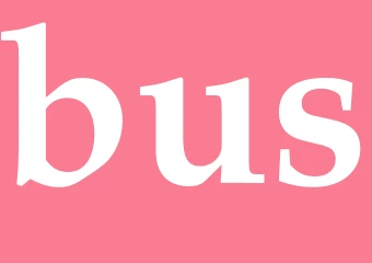 Synonym bus