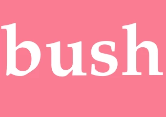 Synonym bush