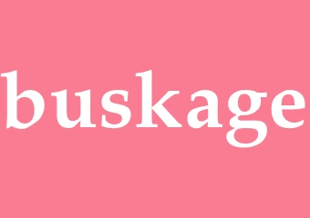 Synonym buskage