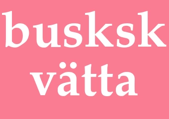 Synonym buskskvätta