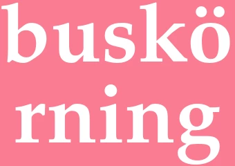 Synonym buskörning