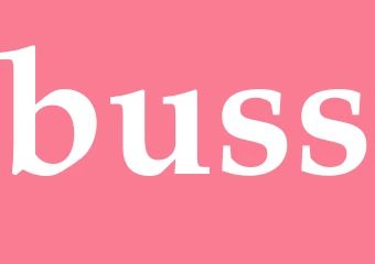 Synonym buss