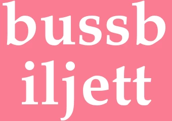 Synonym bussbiljett