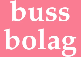 Synonym bussbolag